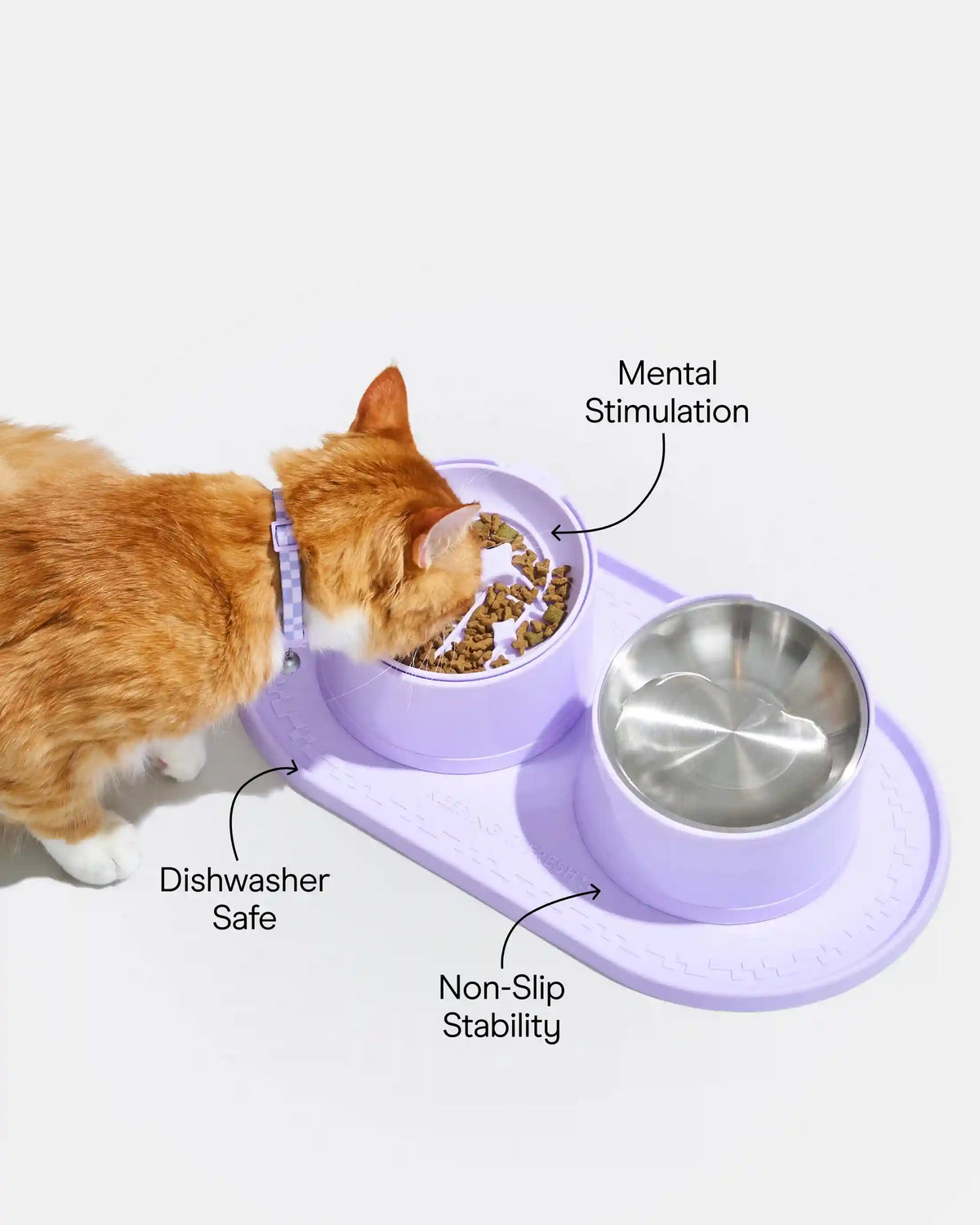 Cat Meal Kit