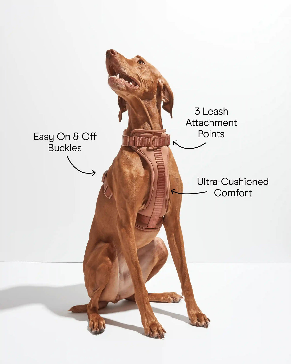 Cushioned Dog Harness