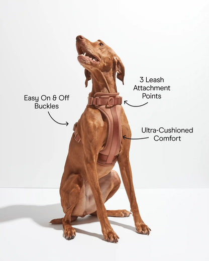 Cushioned Dog Harness