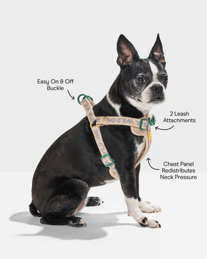 Step-In Dog Harness
