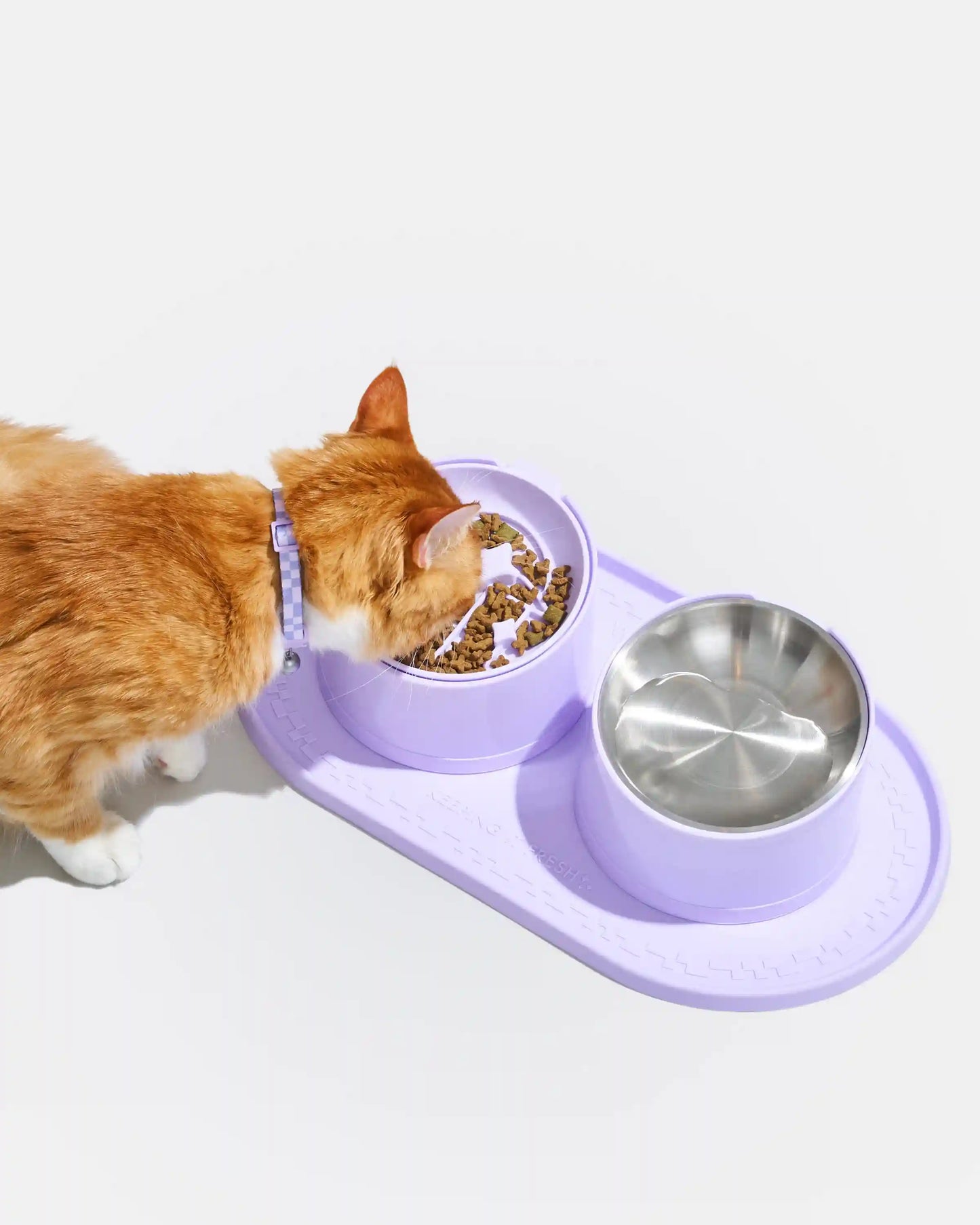Cat Placemat