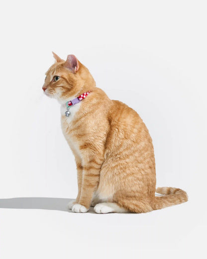 Breakaway Cat Collar