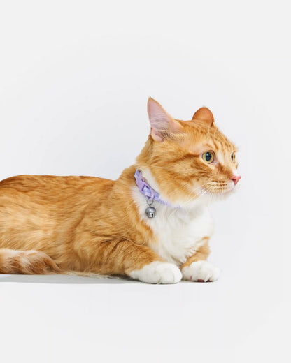 Breakaway Cat Collar