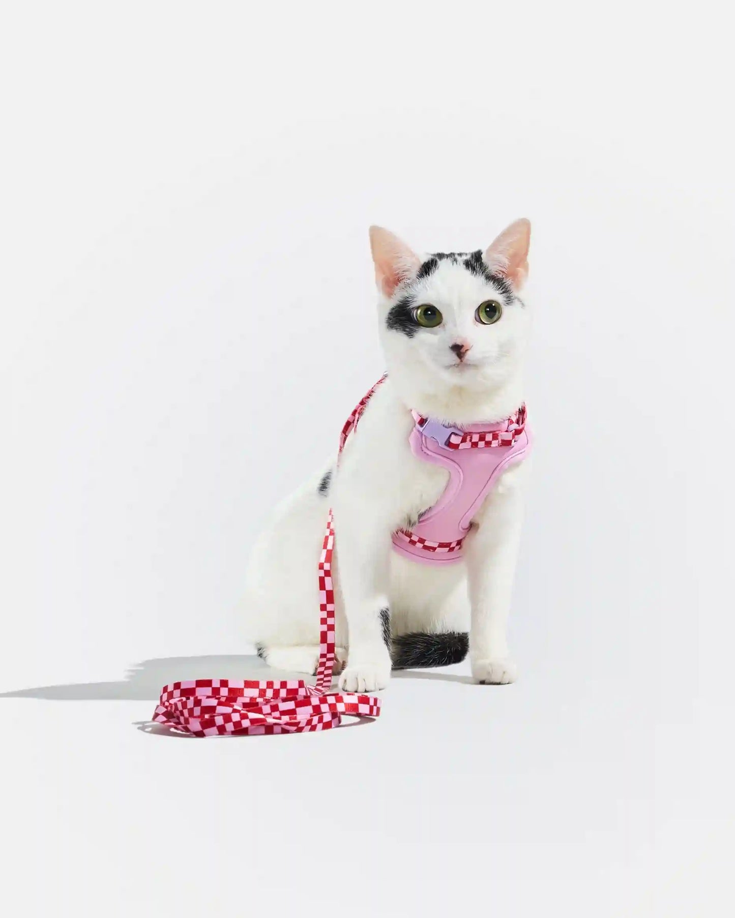 Cat Harness & Leash