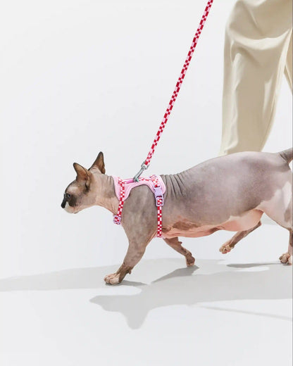 Cat Harness & Leash
