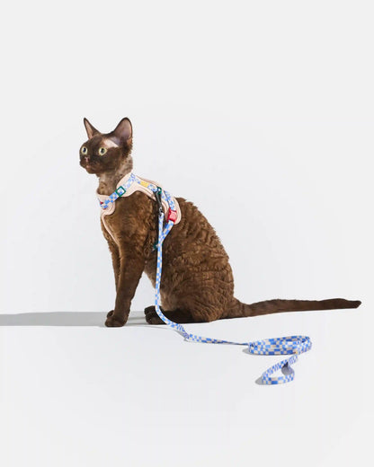 Cat Harness & Leash