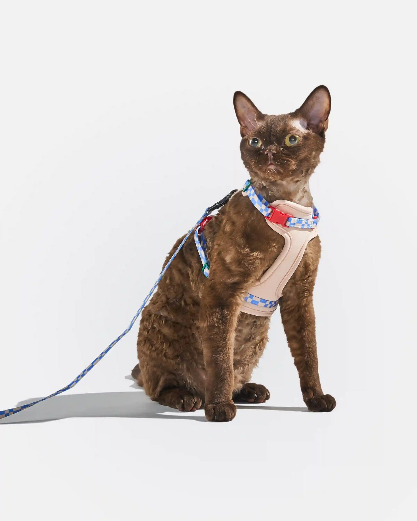 Cat Harness & Leash