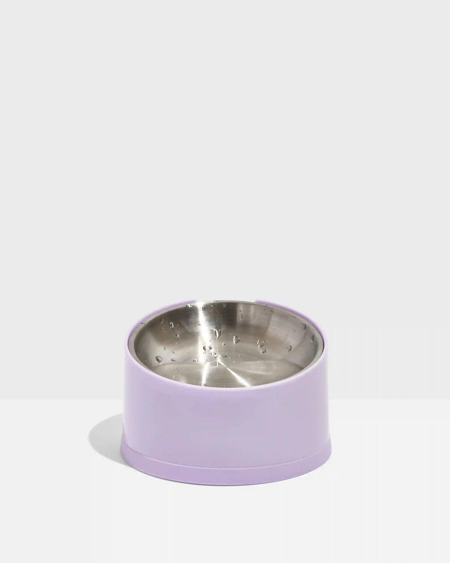 Slanted Cat Bowl