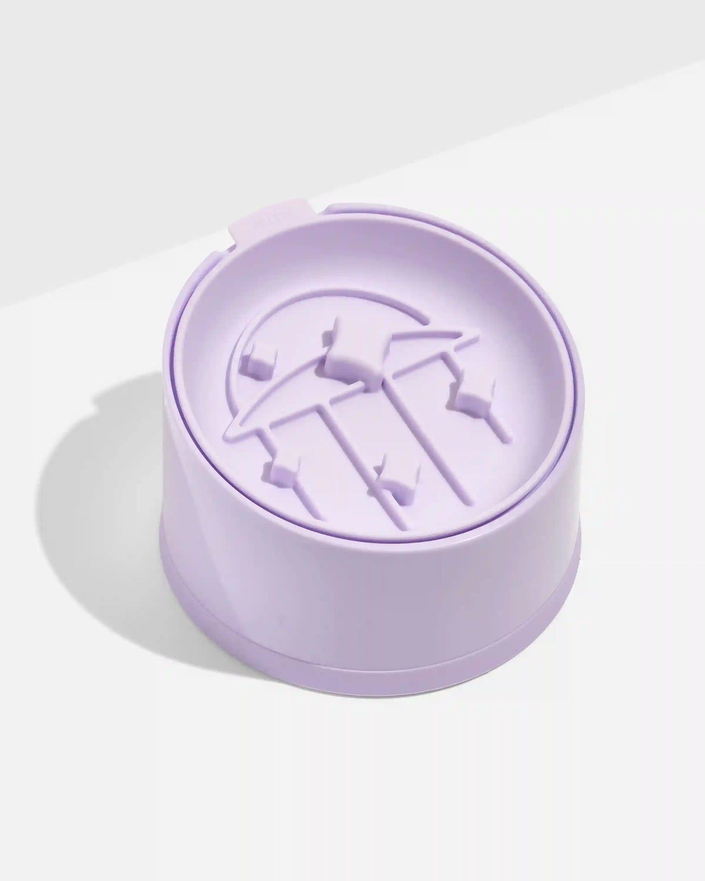 Cat Slow Feeder