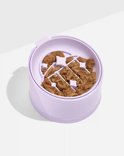 Cat Slow Feeder