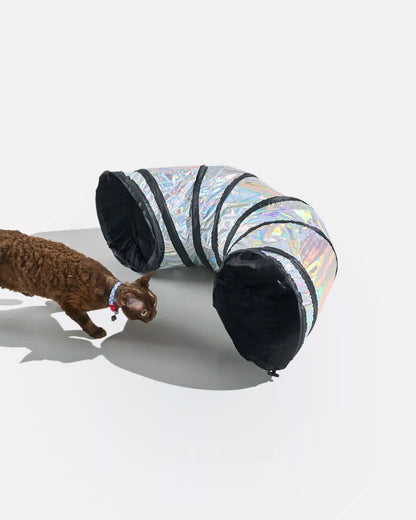 Cat Tunnel