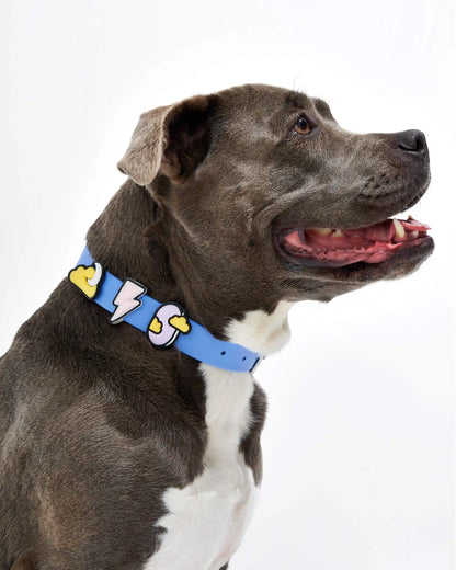 Dog Flair Pack
