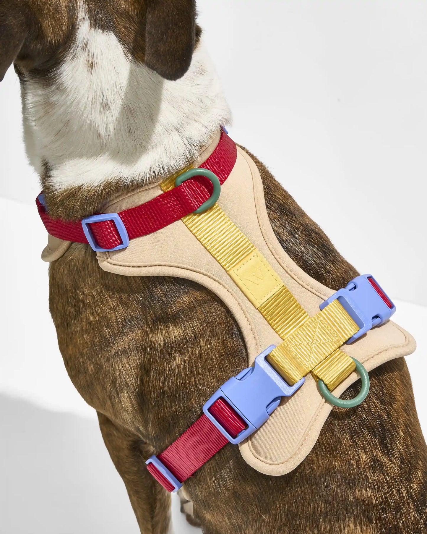 Cushioned Harness + Waterproof Leash Walk Kit