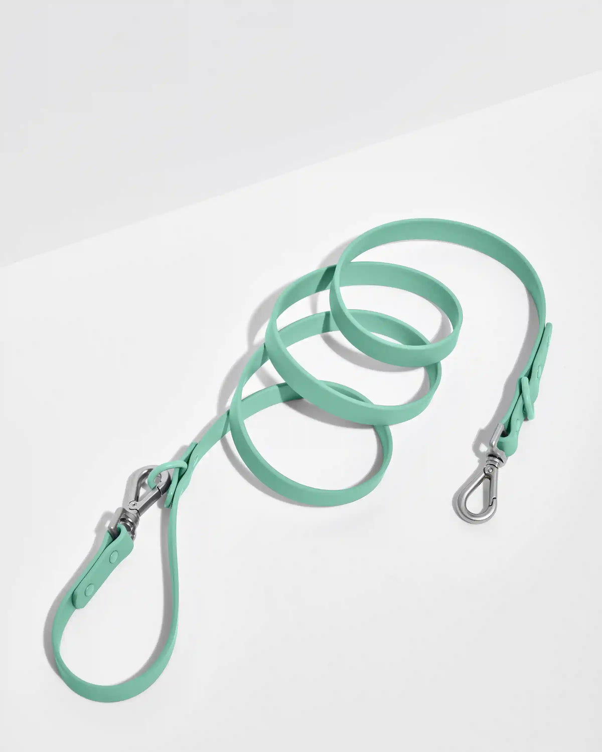 Waterproof Dog Leash