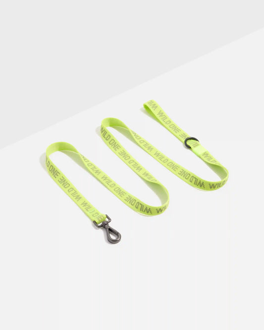 Lightweight Dog Leash