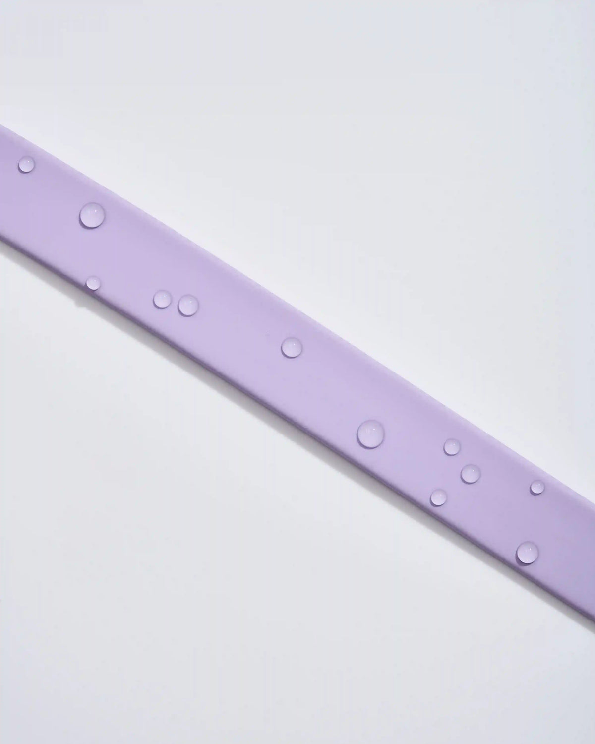 Quick-Release Collar + Waterproof Leash Walk Kit