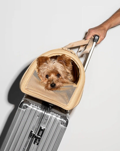 Travel Carrier