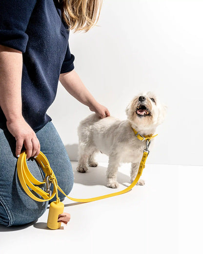 Waterproof Dog Leash