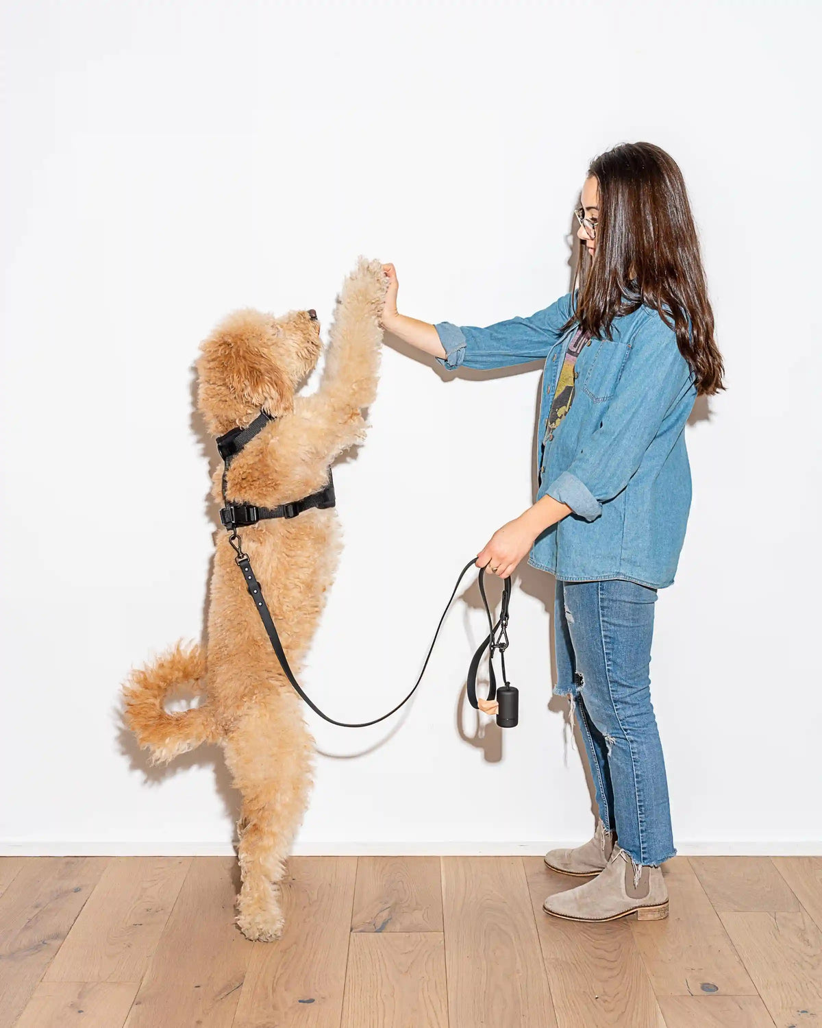 Waterproof Dog Leash