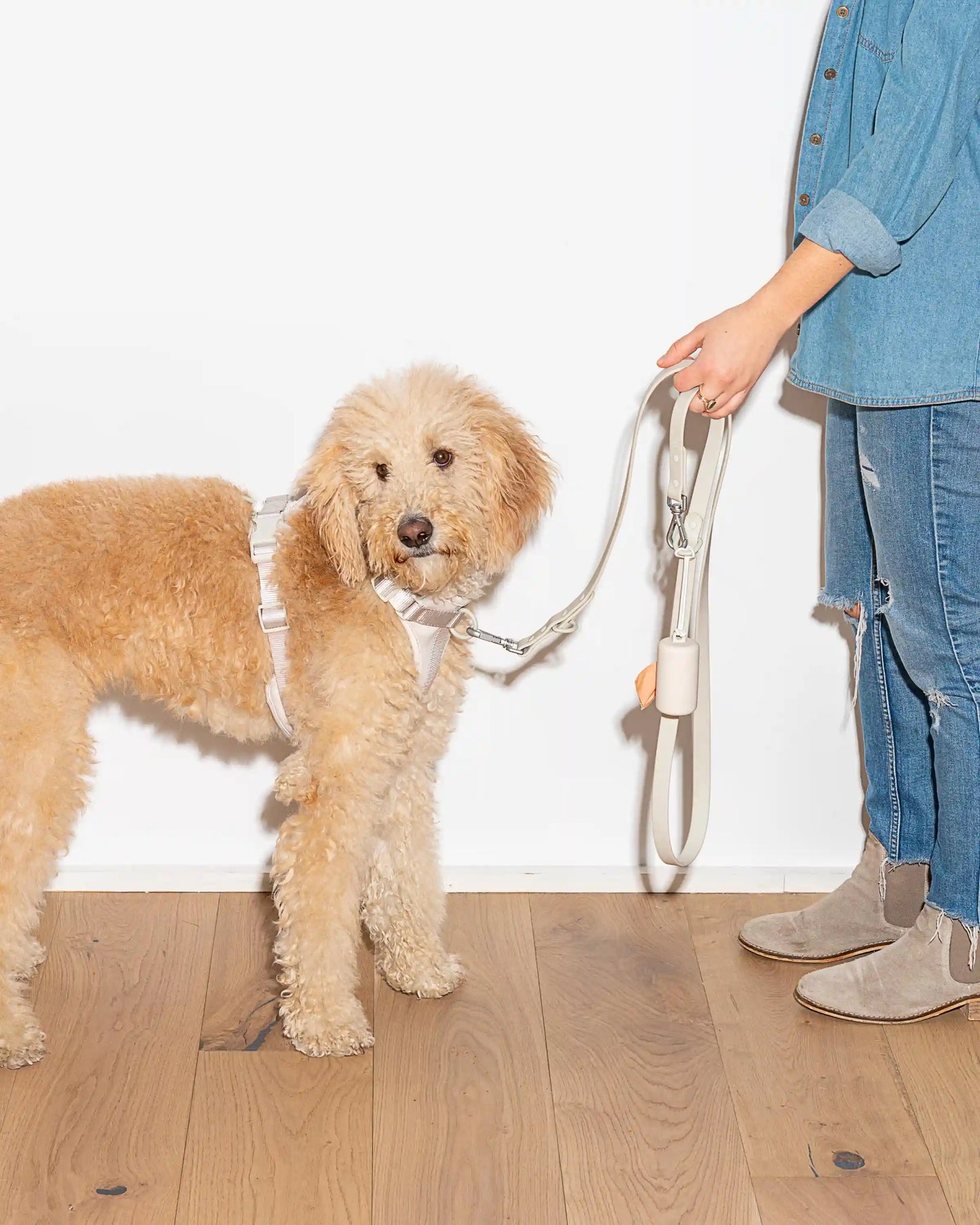 Waterproof Dog Leash