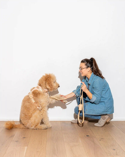 Waterproof Dog Leash
