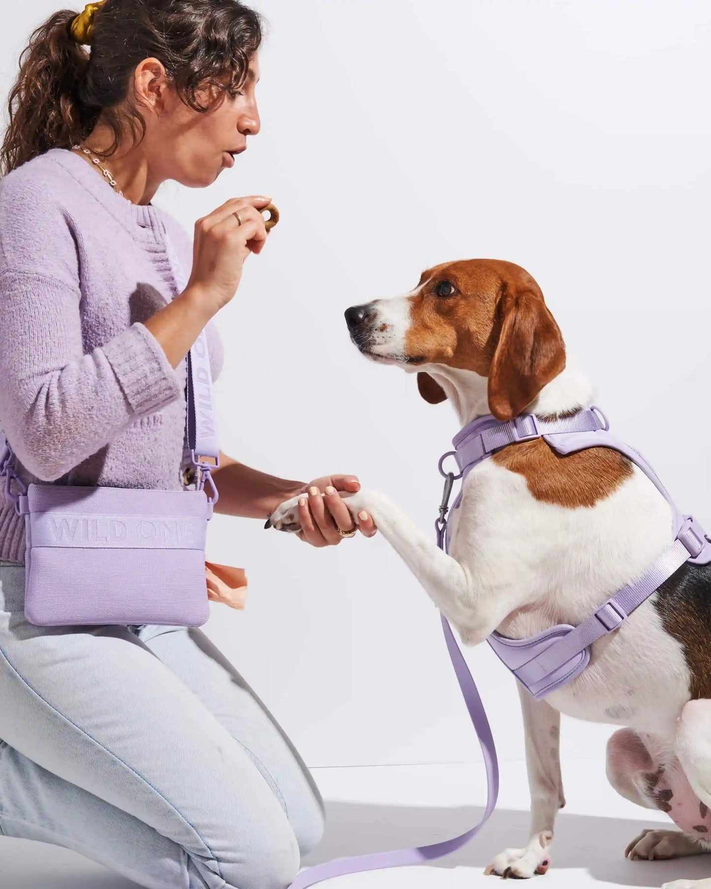 Treat Pouch