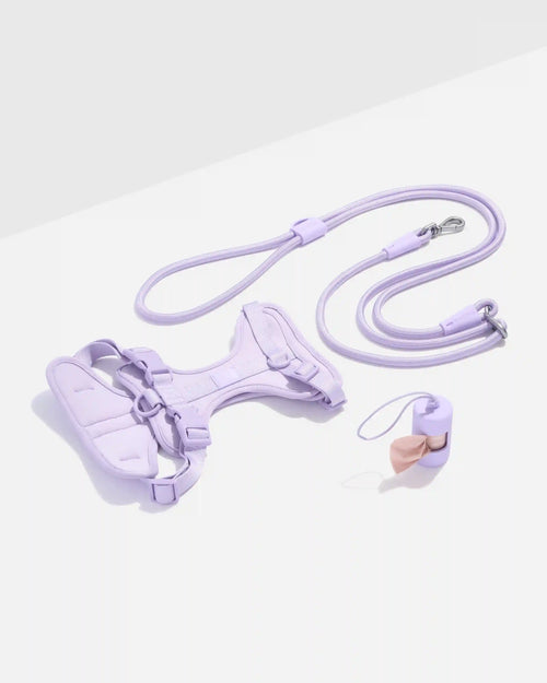Cushioned Harness + Hands-Free Rope Leash Walk Kit