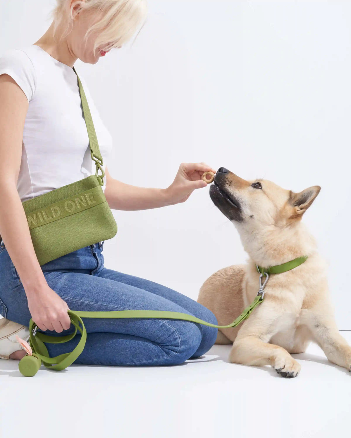 Waterproof Dog Leash