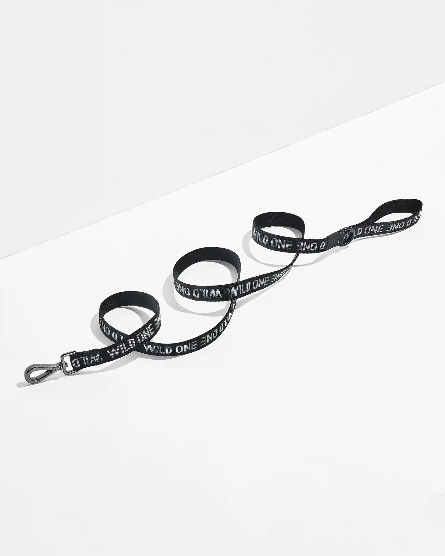 Cushioned Harness + Lightweight Leash Walk Kit