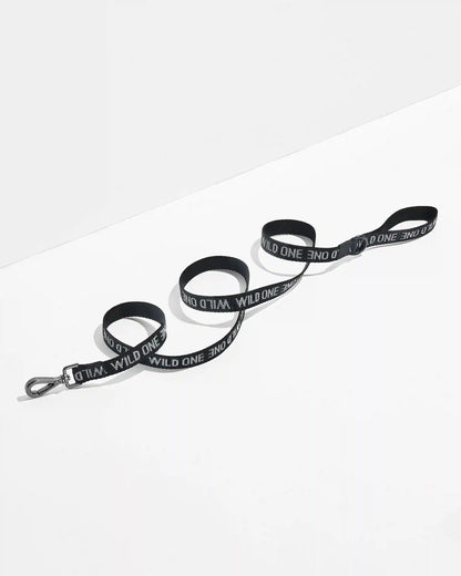Cushioned Harness + Lightweight Leash Walk Kit